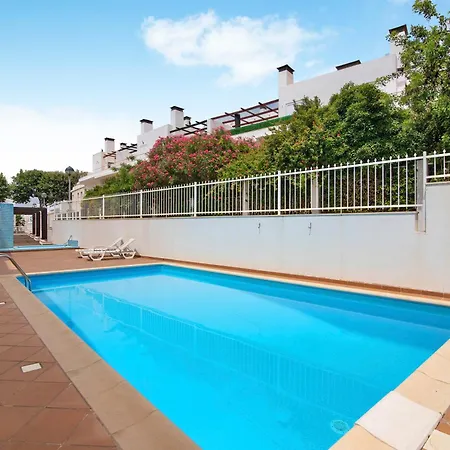 T2 E Eucalipto 圣卢西亚岛