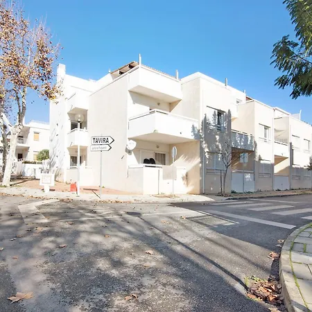 T2 E Eucalipto * 산타 루지아